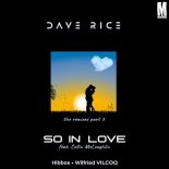 Dave Rice Feat. Collin McLoughlin - So in Love (Wilfried VILCOQ Remix)