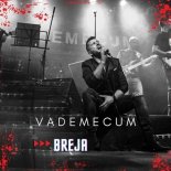 VADEMECUM - Breja (Radio Edit)