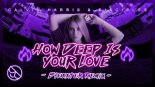 Calvin Harris & Desciples - How Deep Is Your Love (Blexxter Remix)