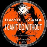 David Lizana - I Can't Do Without (Original Mix)