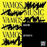 Alex Inc - Gotta Get U (Extended Mix)