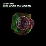 Jeremy Bass - Why Won't You Love Me (Extended Mix)