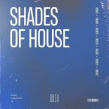 3risco - Shades Of House (Extended Mix)