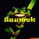 Szumek - Zappka - Luki_N Remix
