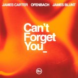 James Carter & Ofenbach Feat. James Blunt - Can't Forget You (Extended Mix)