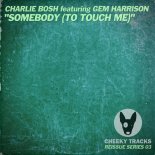 Charlie Bosh Feat. Gem Harrison - Somebody (To Touch Me) (Terminal II Radio Edit)