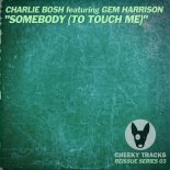 Charlie Bosh Feat. Gem Harrison - Somebody (To Touch Me) (Psychoziz Radio Edit)