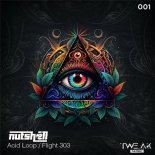 Nutshell - Flight 303 (Original Mix)