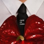 Dawid Kwiatkowski - Café de Paris (Radio Edit)