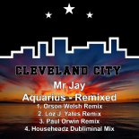 Mr Jay - Aquarius (Orson Welsh Remix)