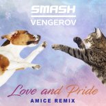 Smash Vengerov - Love and Pride (Amice Remix)
