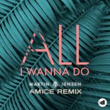 Martin Jensen - All I Wanna Do (Amice Remix)