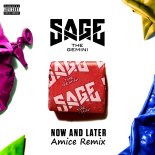 Sage the Gemini – Now And Later (Amice Remix)