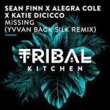 Sean Finn, Alegra Cole, Katie DiCicco - Missing (Yvvan Back Silk Extended Remix)