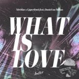 Niteblue x upperlimit Feat. Daniel Mcmillan - What is Love