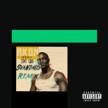 Akon feat. Stat Quo - Smack That (Svandaus Remix)