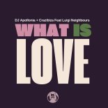 DJ Apollonia Crazibiza Feat. Luigi Nelghbours - What Is Love (Original Mix)