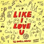 Amirchik & Мот - Like I Love You (DJ Smell Extended Remix)