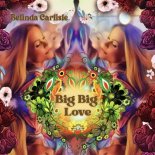 Belinda Carlisle - Big Big Love (Radio Edit)
