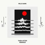 Wild Dark Feat. Alex Who - Why Not (Los Suruba & Wild Dark Edition)