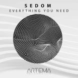 SEDOM - Everything You Need (Original Mix)