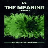 Dancefloor Kingz & Sunvibez - The Meaning (Spring Edit)