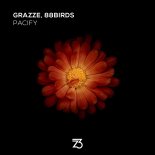 GRAZZE, 88Birds - Pacify (Extended Club Mix)