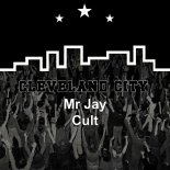 Mr Jay - Cult (Original Mix)