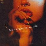 Baccij - The Feeling Is So High