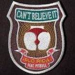 Flo Rida feat Pitbull - Can't Believe (DJ TemperaTura 2023 Remix)