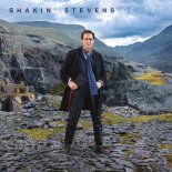 Shakin' Stevens - Beyond the Illusion