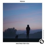 Pekka - Waiting for You (Extended Mix)