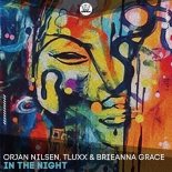 Orjan Nilsen, TLUXX & Brieanna Grace - In The Night (Extended Mix)