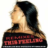 Charlie Big Potato Feat. Shanie - This Feeling (Mark Armitage Remix Edit)