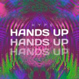 DJ Hype-D - Hands Up