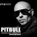 Pitbull - I Know You Want Me (Shreds Owl Remix)