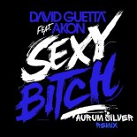 David Guetta feat. Akon - Sexy Bitch (Aurum Silver Remix)