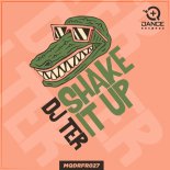 DJ Ter - Shake It Up (Original Mix)