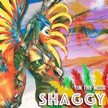Shaggy feat. Patrice Roberts - Whine & Jumping