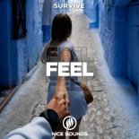 Survive - Feel