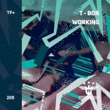 T-Bor - Working (Extended Mix)