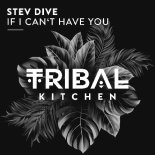 Stev Dive - If I Can't Have You (Extended Mix)