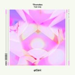 Thvndex - Tell Me (Extended Mix)