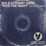 Big D vs Harry Hard - Into The Night (Charlie's Piano 99 Radio Edit)