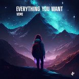 VEME - Everything You Want