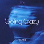 Gulmee - Going Crazy