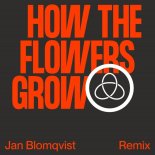 Röyksopp & Pixx - How the Flowers Grow (Jan Blomqvist Remix)