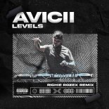 Avicii - Levels (RICHIE ROZEX Remix Extended)