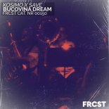 Kosimo & SAVE - Bucovina Dream (Extended Mix)