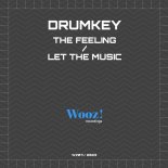Drumkey - The Feeling (Extended Mix)
